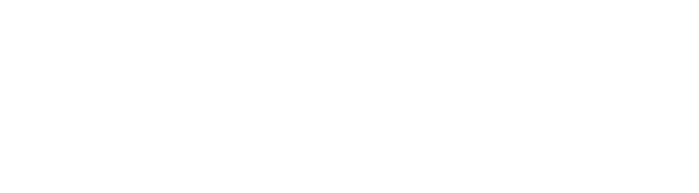 The White Rhino